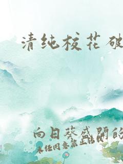 清纯校花破处记
