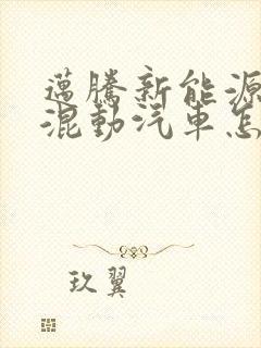迈腾新能源油电混动汽车怎么样