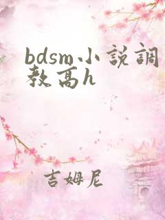 bdsm小说调教高h
