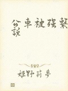 公车被强系列小说 公车被强系列小说