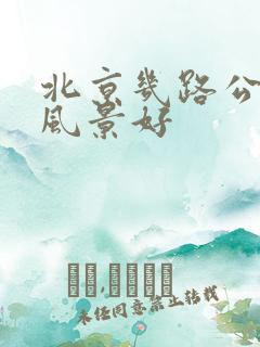 北京几路公交车风景好