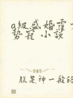 a级盛婚霍少强势宠 小说