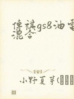 传祺gs8油电混合