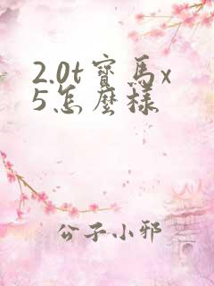 2.0t宝马x5怎么样