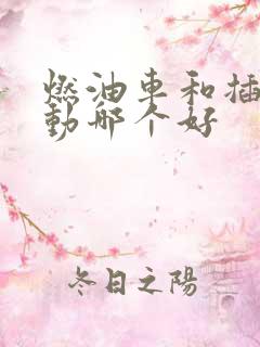 燃油车和插电混动哪个好