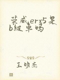 荣威erx5是b级车吗