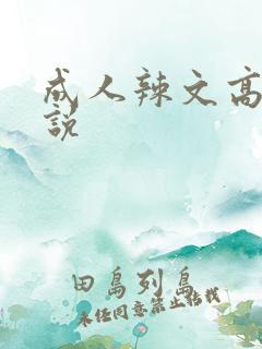 成人辣文高h小说