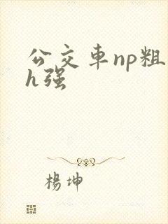 公交车np粗暴h强