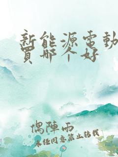 新能源电动汽车买哪个好