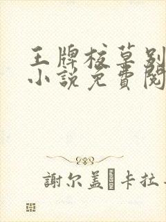 王牌校草别惹我小说免费阅读全文