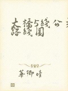 大桥5线公交车路线图