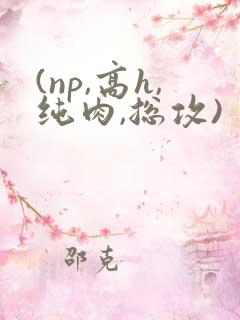 (np,高h,纯肉,总攻)