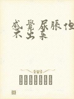 感觉尿胀但又尿不出来