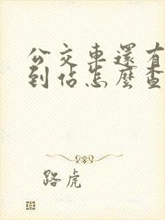 公交车还有几站到站怎么查 公交车还有几站到站怎么查