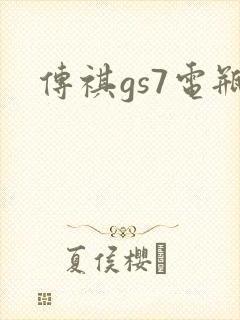 传祺gs7电瓶