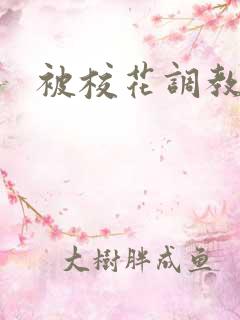 被校花调教小说