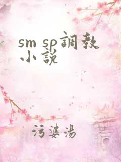 sm sp调教小说