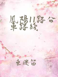 凤阳11路公交车路线
