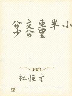 公交车半小时多少公里