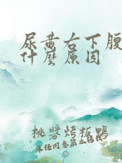 尿黄右下腹疼痛什么原因