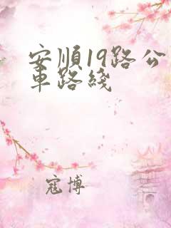 安顺19路公交车路线