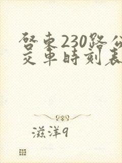 启东230路公交车时刻表 启东230路公交车时刻表