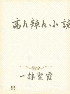 高h辣h小说网