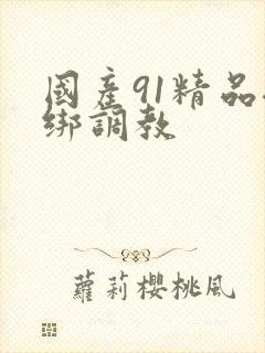 国产91精品捆绑调教