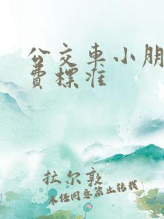 公交车小朋友收费标准