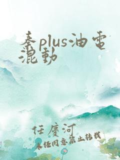 秦plus油电混动 秦plus油电混动