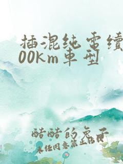 插混纯电续航300km车型