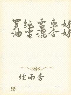 买纯电车好还是油电混合好
