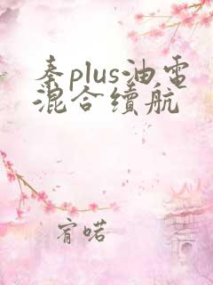 秦plus油电混合续航