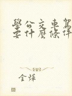 学公交车驾照需要什么条件 学公交车驾照需要什么条件