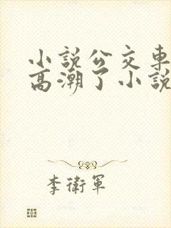 小说公交车被上高潮了小说