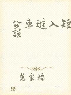 公车进入短裙小说