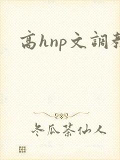 高hnp文调教
