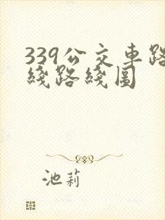 339公交车路线路线图