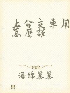上公交车用英语怎么说