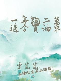 一年跑二万公里适合买油车还是电车