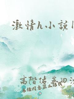 激情h小说网站