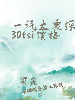 一汽大众探岳330tsi价格