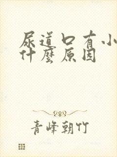 尿道口有小颗粒什么原因