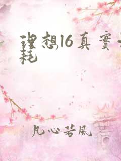 理想l6真实油耗