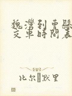 魏湾到曹县的公交车时间表