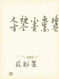 人被小车撞了对方全责怎么谈赔偿 人被小车撞了对方全责怎么谈赔偿
