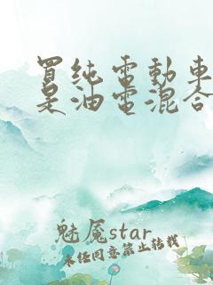 买纯电动车好还是油电混合车好