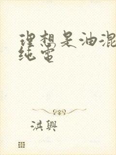 理想是油混还是纯电