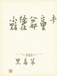 小桥公交卡充值点在哪里