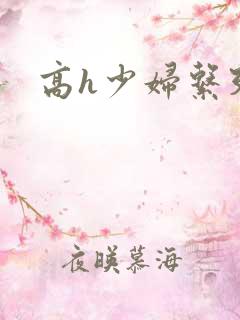 高h少妇系列